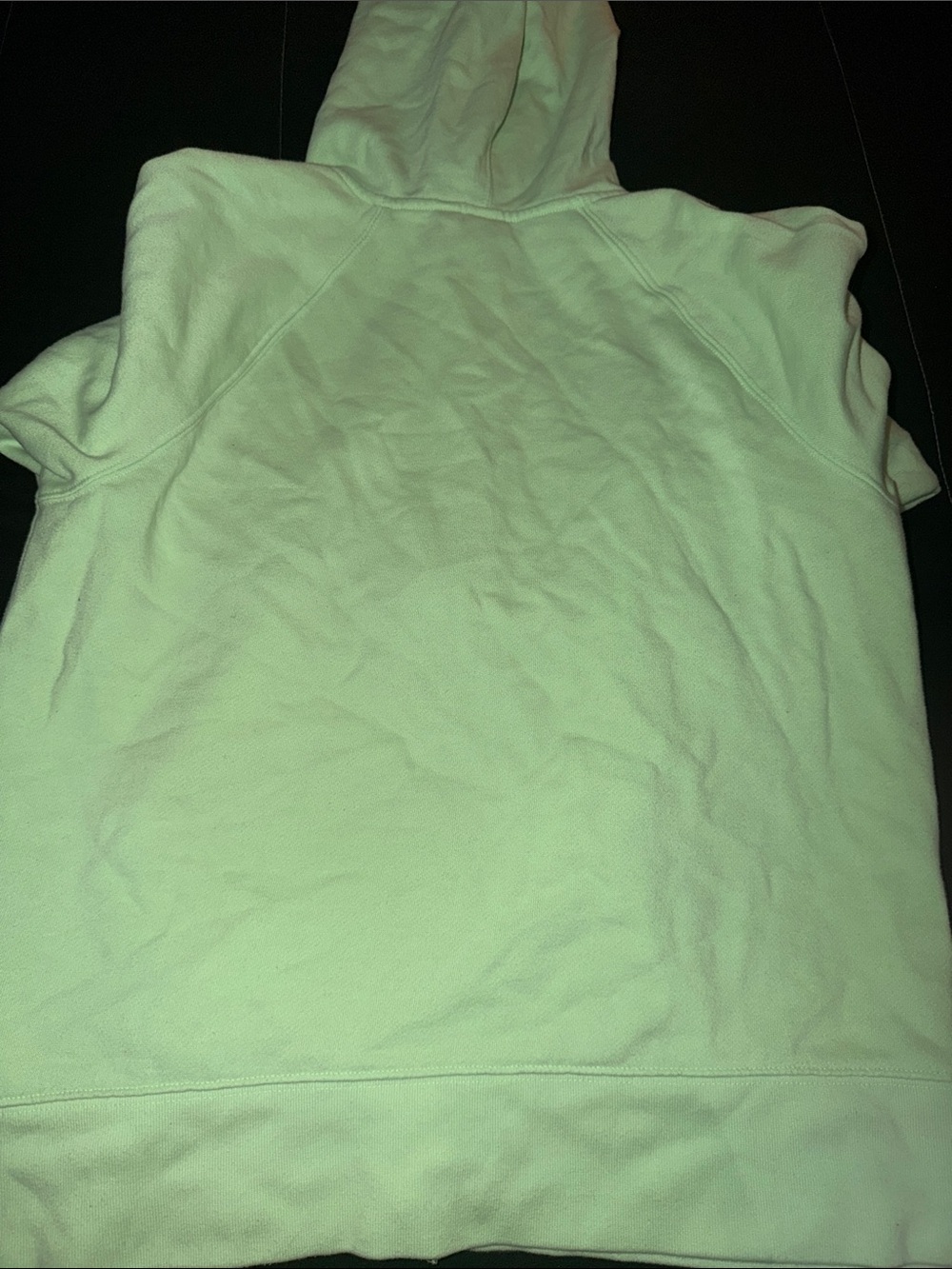 GAP Light Mint Green Full-Zip Hoodie with Embroidered Logo - Picture 4 of 4